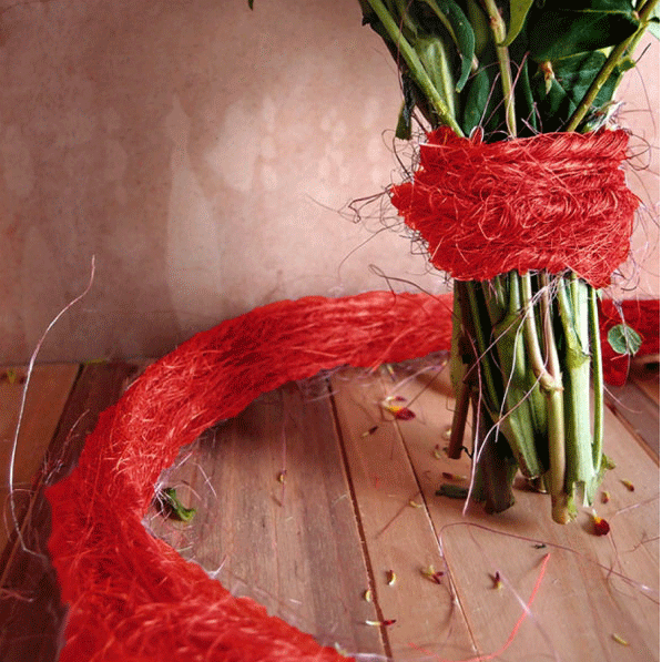 3 mm (1/8") Red Wired Sisal Rope 9.75 m (32 ft) Harvest Imports