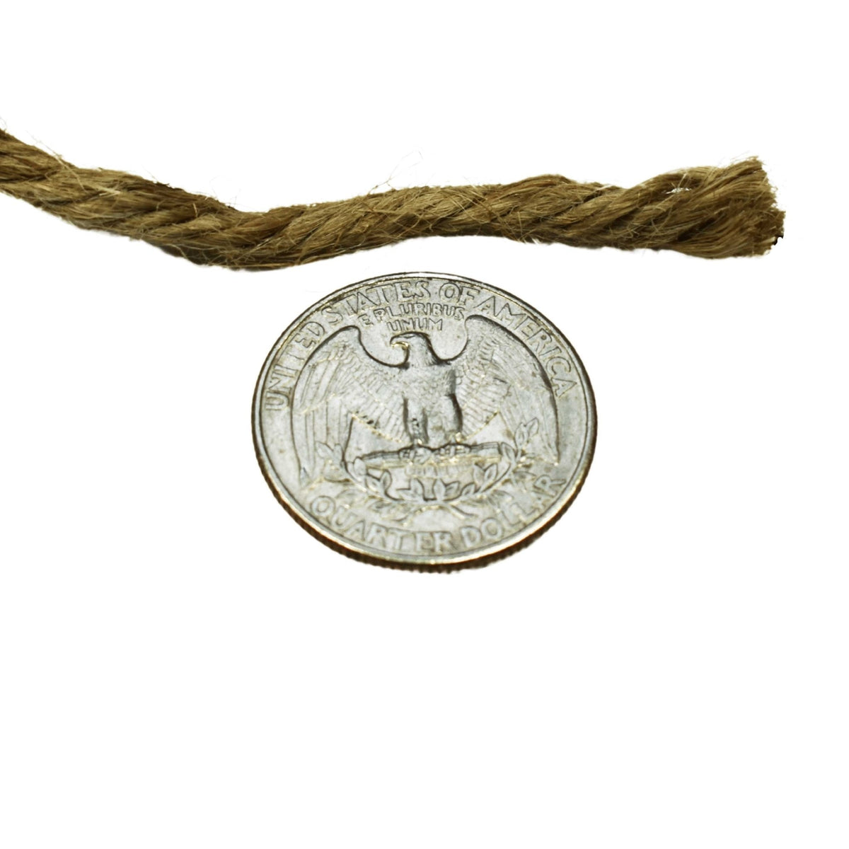 4 mm (5/32") 5 Ply Natural Jute Twine Spool 77 m (254 ft) Frank Winne & Son Inc.