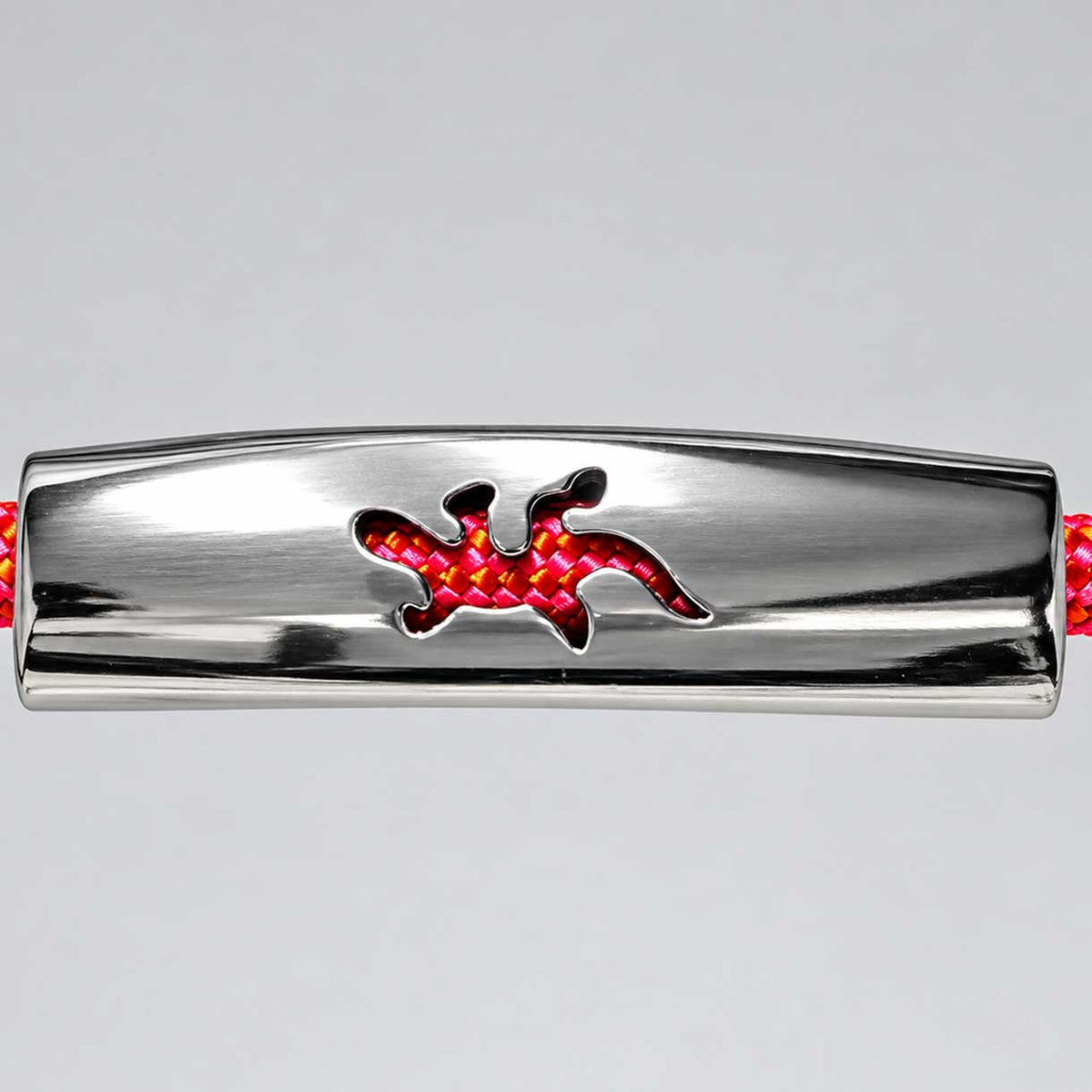 Lizard Tag (5 pack) China