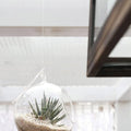 Product image thumbnail 5