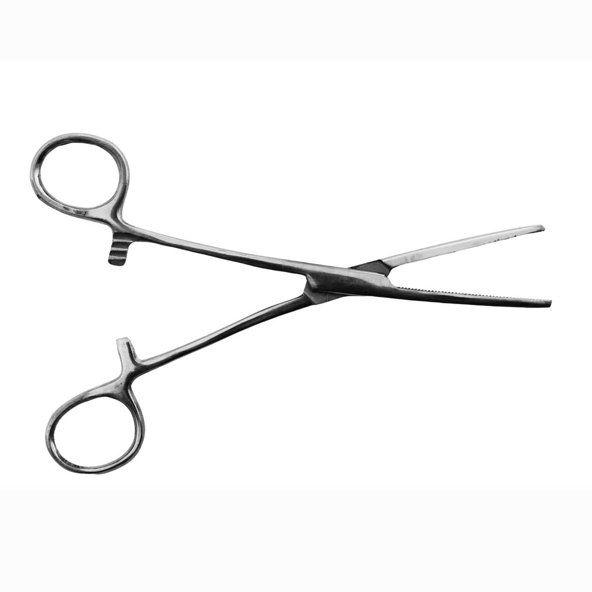 6 1/4" Straight Nose Stainless Steel Locking Forceps (1 Pack)