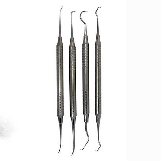 4-Pcs Double Ended Heavy Duty SS Picks Set