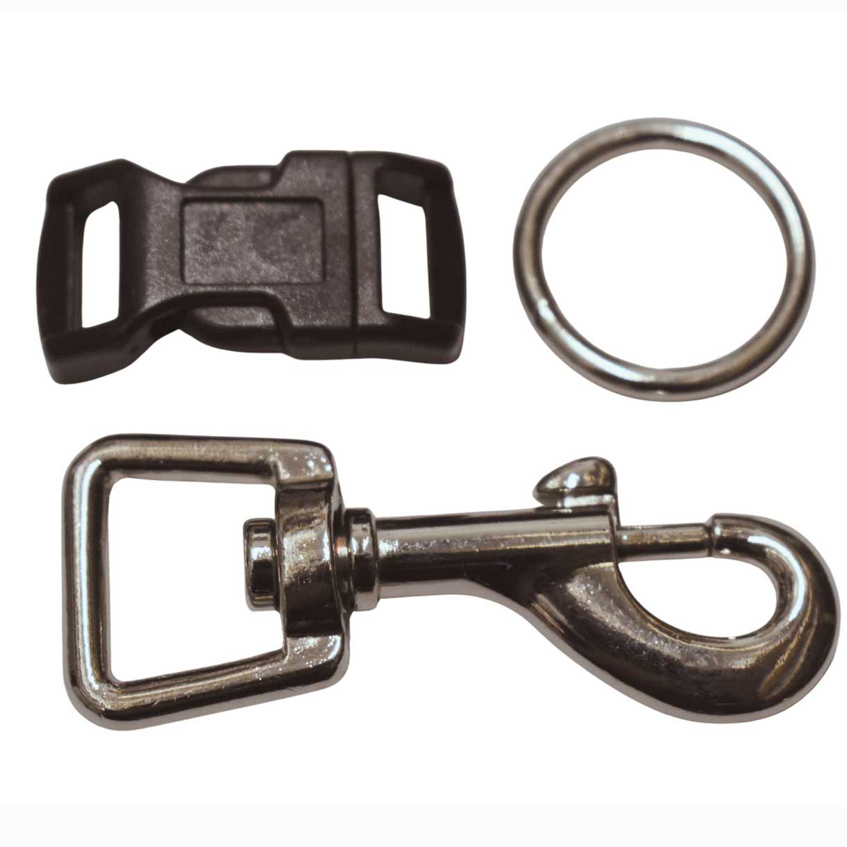 Extra Small Dog Collar and Leash Kit